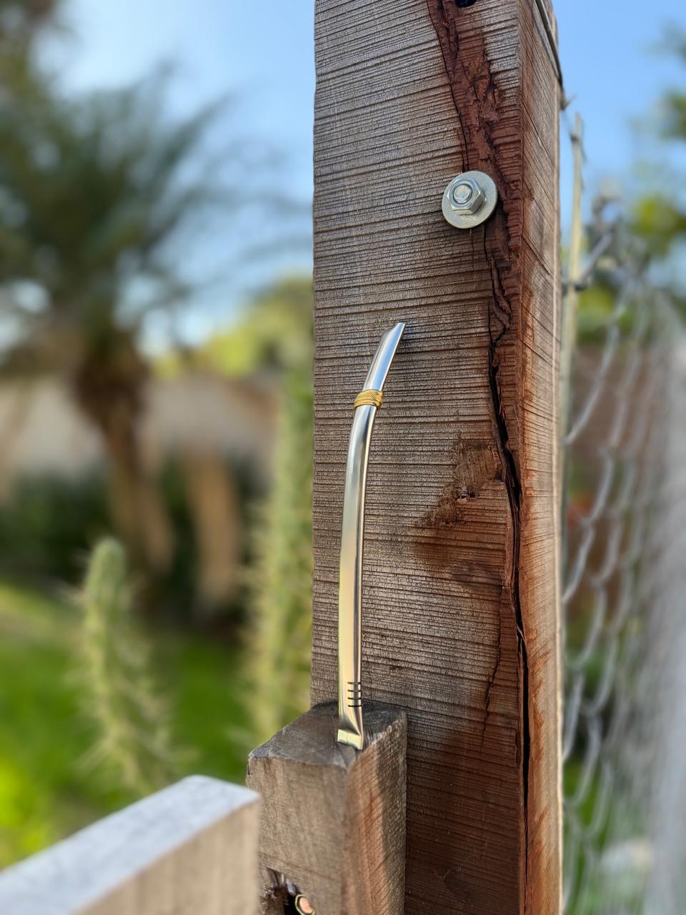 Bombilla Chata Acero Inox + Envío Gratis - Imagen 3