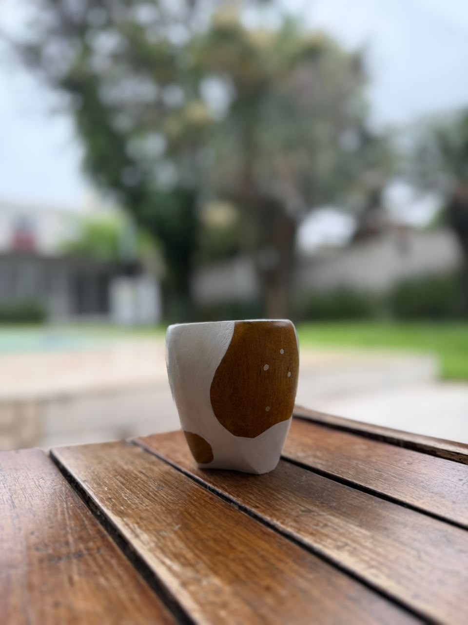 Ranchero Algarrobo Clavos Cruz Del Sur + Envío Gratis - Imagen 9