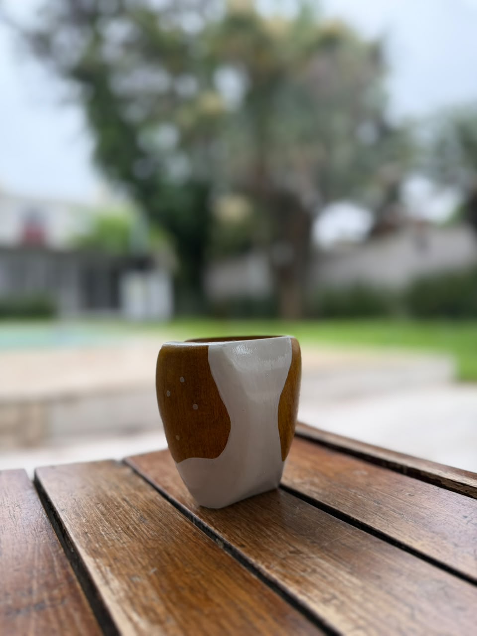 Ranchero Algarrobo Clavos Cruz Del Sur + Envío Gratis - Imagen 8